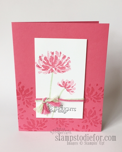 Too Kind and Gifts of Kindness Stampin’ Up! Stamp Sets