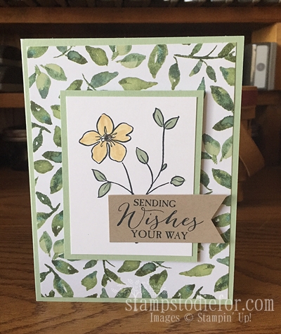 Stamping with my Senior Friends – Quick and Easy Cards