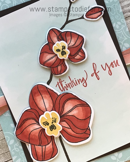 Just in CASE Climbing Orchid Stamp Set by Stampin' Up! www.stampstodiefor.com #stampinup #stampedcard #CASE #flowers 