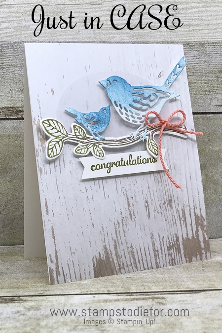 Just in CASE – Best Birds Congratulations Card