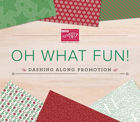 Dashing Along Designer Series Paper Promotion by Stampin' Up! 450