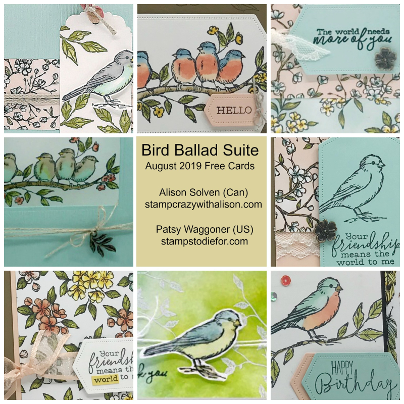 Bird Ballad Suite Collage