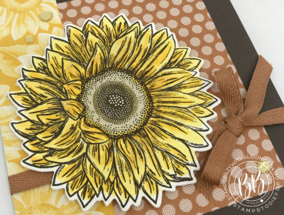 Sunday Sketches Celebrate Sunflowers www.stampcrazywithalison.com-2