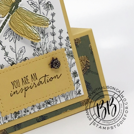Fun fold card created with Dragon Fly Garden Stamp Set by Stampin Up bumble bee ladybug embellishment