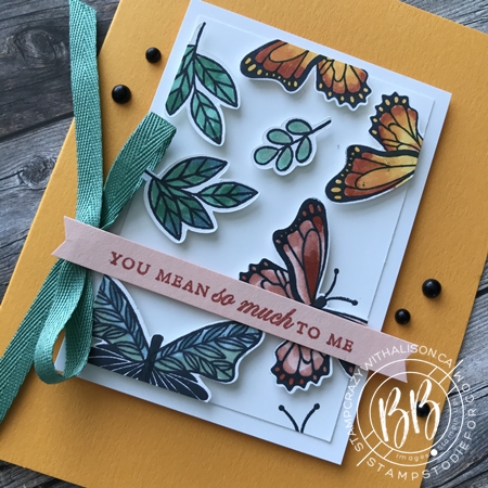 Just in CASE Butterfly Gala and Always in my Heart stamp set by Stampin Up page 61 (2)