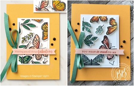 Just in CASE Butterfly Gala and Always in my Heart stamp set by Stampin Up page 61 (3)