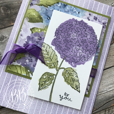 Hydrangea Haven Stamp Set by Stampin Up Sunday Sketches car template (2)