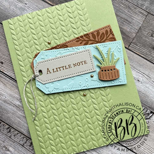 Card CASE from page 95 of the 2021-2022 Annual Stampin’ Up! Catalog using the Plentiful Plants Stamp Set