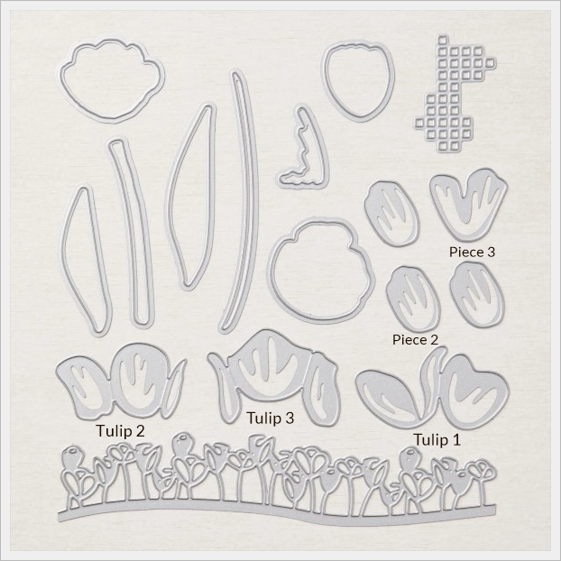 tulip Dies by Stampin' Up!